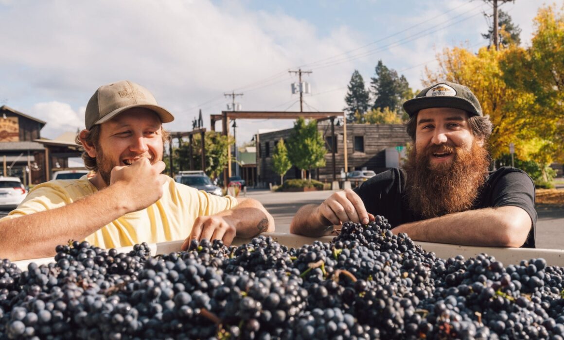 Jordan Rosenberry, Production Winemaker and Nicholas Gates, Cellar Manager standing next to a harvest bin filled with grapes, sampling them