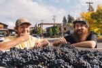 Jordan Rosenberry, Production Winemaker and Nicholas Gates, Cellar Manager standing next to a harvest bin filled with grapes, sampling them
